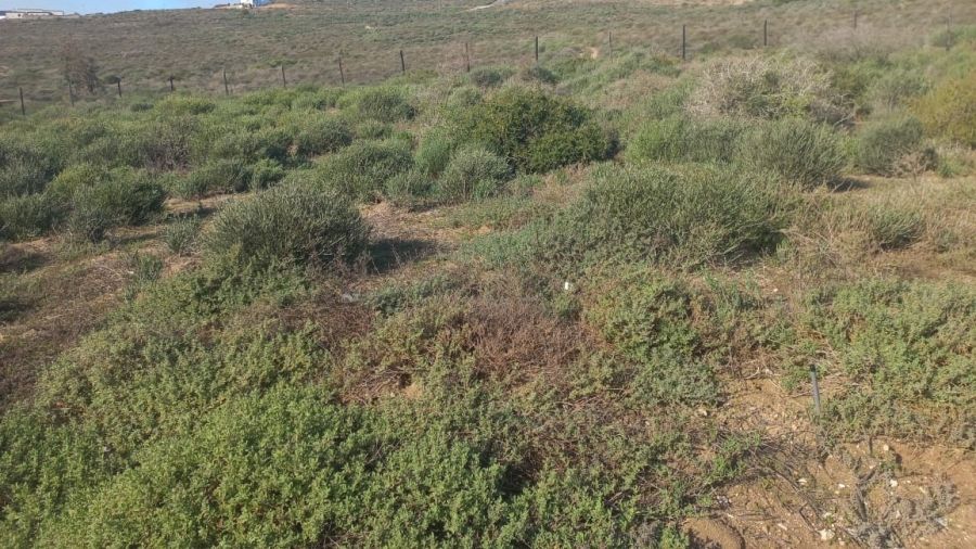 0 Bedroom Property for Sale in St Helena Views Western Cape